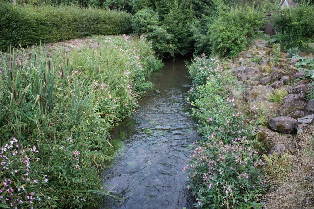 Gite Du Moulin Uhrwiller Ngoại thất bức ảnh